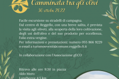 Camminata tra gli olivi - 30 ottobre 2022