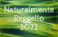 Naturalmente Reggello 2022